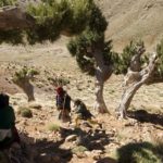 NOMADES DANS LE HAUT ATLAS MAROCAIN XAVIER DESMIER