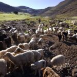 NOMADES DANS LE HAUT ATLAS MAROCAIN XAVIER DESMIER