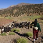 NOMADES DANS LE HAUT ATLAS MAROCAIN XAVIER DESMIER