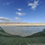 Bretagne - Plage de Gavres. Xavier Desmier