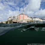 Iles du Ponant - Bretagne - Belle-Ile - Le Port du Palais, face a la Citadelle. Xavier Desmier