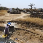 Mangroves d'Afrique de l'Ouest - Palmarin - Senegal - Xavier Desmier