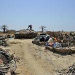 Mangroves d'Afrique de l'Ouest - Palmarin - Senegal - Xavier Desmier