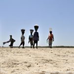 Mangroves d'Afrique de l'Ouest - Palmarin - Senegal - Xavier Desmier