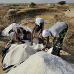 Mangroves d'Afrique de l'Ouest - Palmarin - Senegal - Xavier Desmier