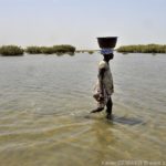 Mangroves d'Afrique de l'Ouest - Palmarin - Senegal - Xavier Desmier