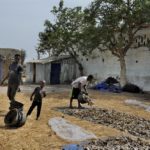 Mangroves d'Afrique de l'Ouest - Palmarin - Senegal - Xavier Desmier