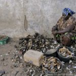 Mangroves d'Afrique de l'Ouest - Palmarin - Senegal - Xavier Desmier