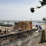 Mangroves d'Afrique de l'Ouest - Palmarin - Senegal - Xavier Desmier