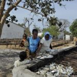 Mangroves d'Afrique de l'Ouest - Palmarin - Senegal - Xavier Desmier