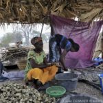 Mangroves d'Afrique de l'Ouest - Palmarin - Senegal - Xavier Desmier