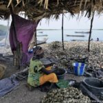 Mangroves d'Afrique de l'Ouest - Palmarin - Senegal - Xavier Desmier