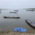 Mangroves d'Afrique de l'Ouest - Palmarin - Senegal - Xavier Desmier