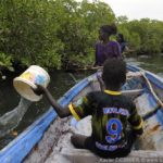 Mangroves d'Afrique de l'Ouest - Palmarin - Senegal - Xavier Desmier