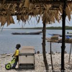 Mangroves d'Afrique de l'Ouest - Palmarin - Senegal - Xavier Desmier